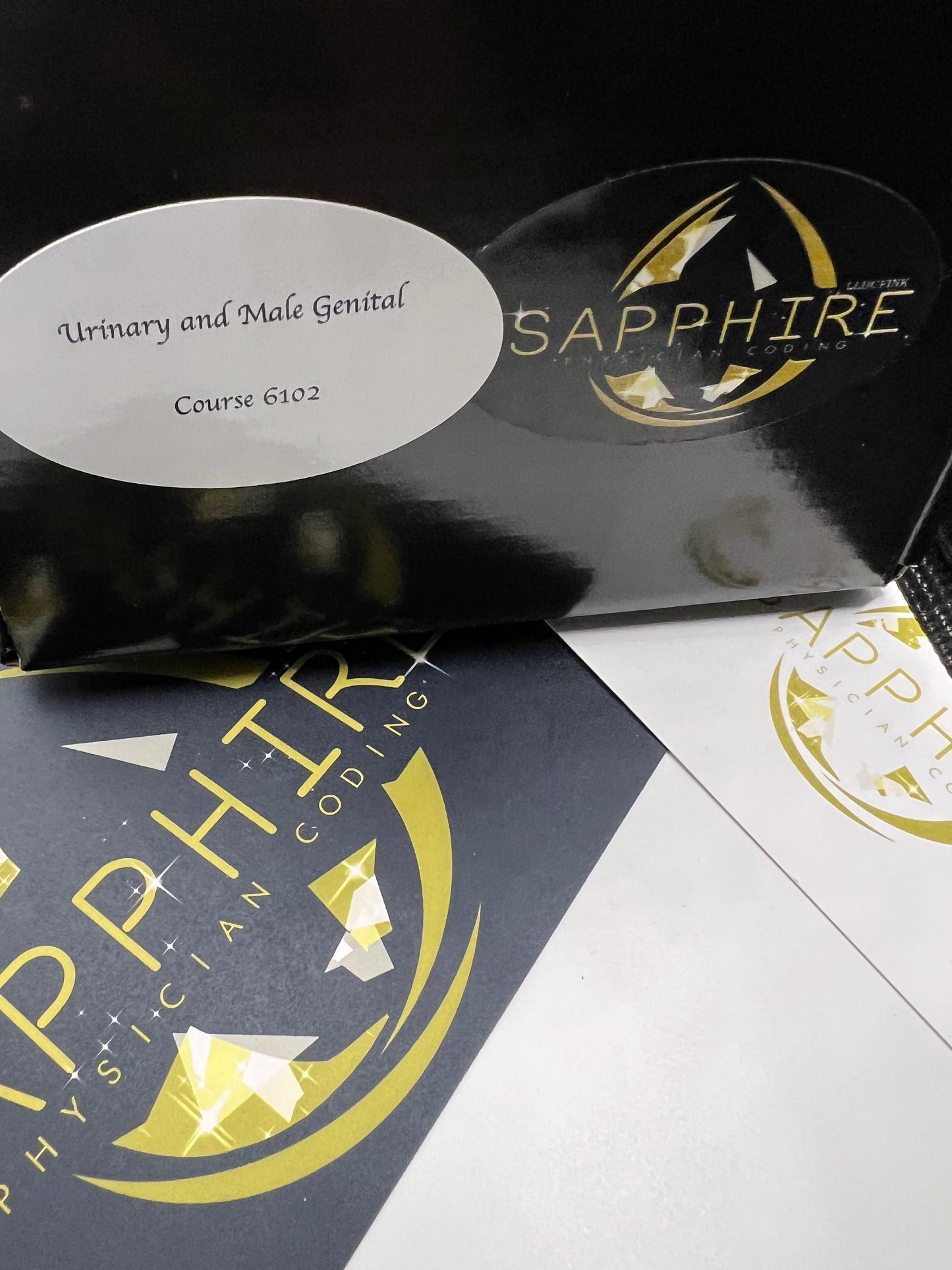 Sapphire PC Urinary and Male System - Coding Course 61012